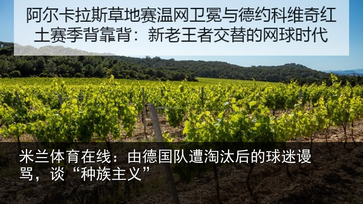 米兰体育在线:由德国队遭淘汰后的球迷谩骂,谈“种族主义”
