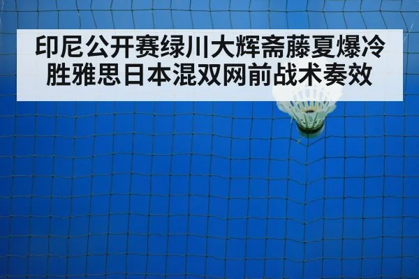 badminton net play