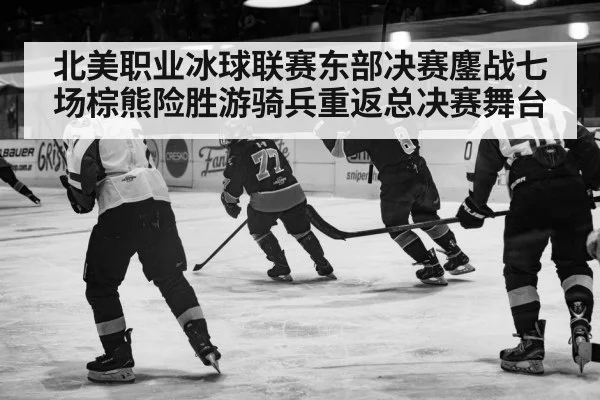 北美职业冰球联赛东部决赛鏖战七场棕熊险胜游骑兵重返总决赛舞台